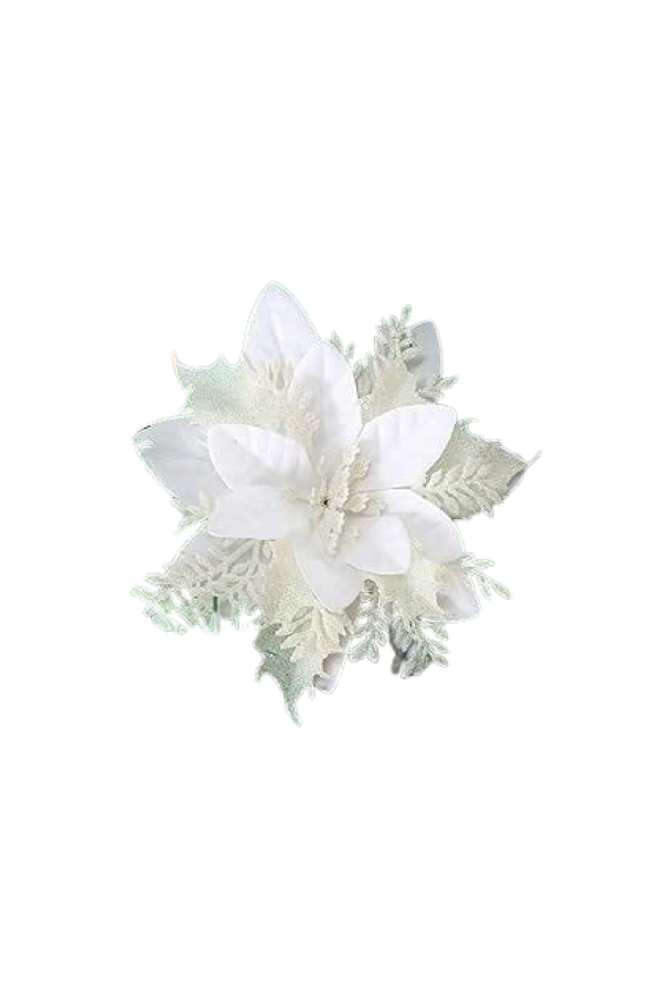 Fleurs blanches – sapin